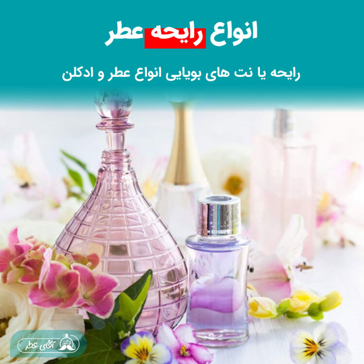  رایحه و نت های بویایی انواع عطر و ادکلن